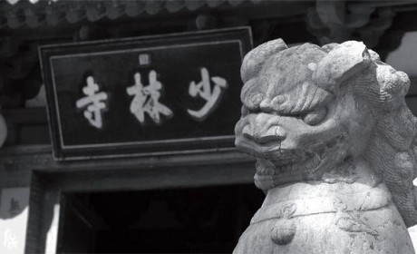 天下功夫出少林，少林武僧战沙场
