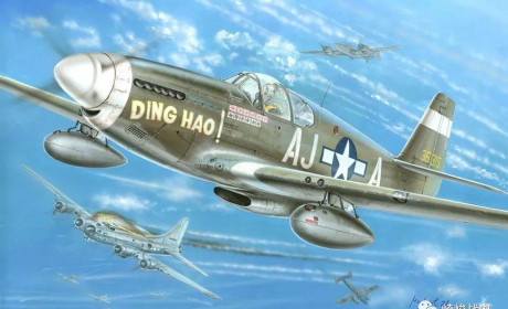 1 VS 30！欧洲上空最猛“野马”王牌竟来自中国？