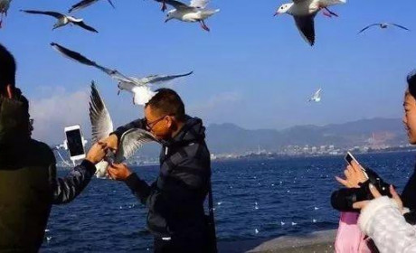 你的无所谓，正在暴露你的低智商