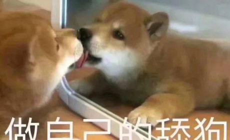 做“舔狗”是一种怎样的心态？