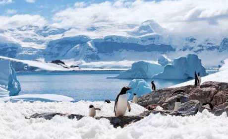 南极玩家指南 —— 入门篇