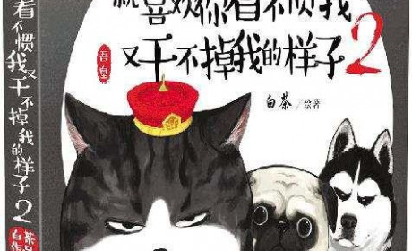 网红出书的内容进阶