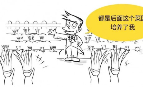 金金漫画 | 散户=韭菜？改掉这些恶习炒股才能赚钱