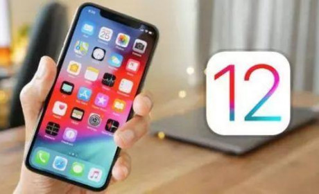 破了！iOS 12.4 被越狱，工具放出