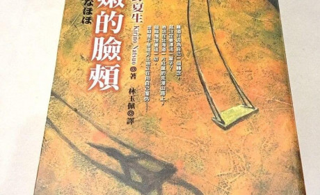 又见桐野夏生 —— 《柔嫩的脸颊》