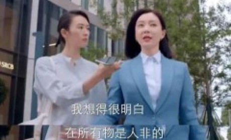《谁说我结不了婚》：陈数专心事业而不考虑感情，怎么会有人不需要爱情？