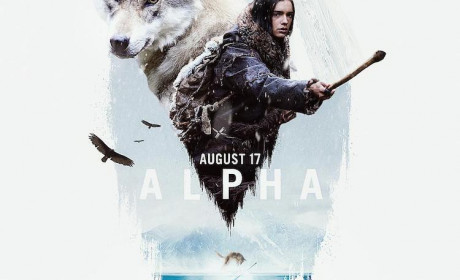 《阿尔法：狼伴归途》电影评价 有着各种轻巧宁静之情绪的作品