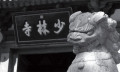 天下功夫出少林，少林武僧战沙场