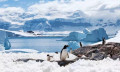 南极玩家指南 —— 入门篇