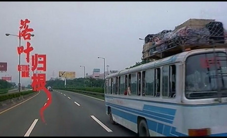《落叶归根》黑色喜剧下的中国式劳工公路电影