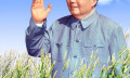 纪念毛主席127周年诞辰 战略是成功之父